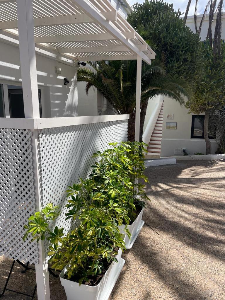 Apartamentos Punta Elena Beach Коралео Екстериор снимка