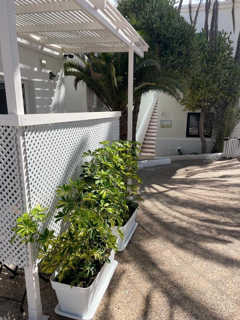 Apartamentos Punta Elena Beach Коралео Екстериор снимка